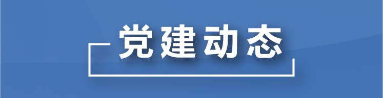 党建动态